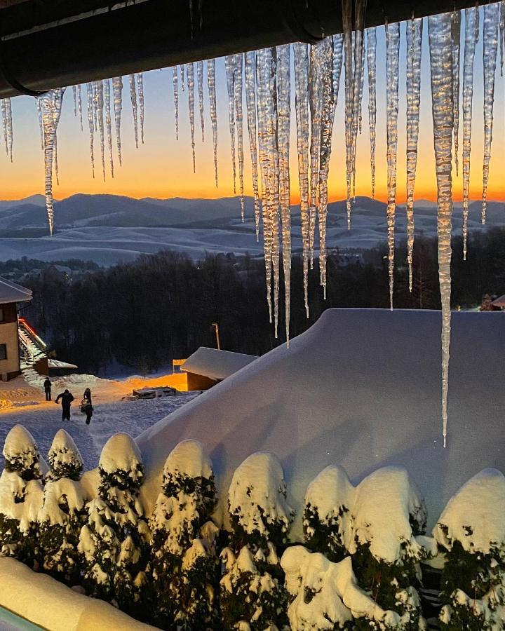 Vila Breg Zlatibor Kültér fotó