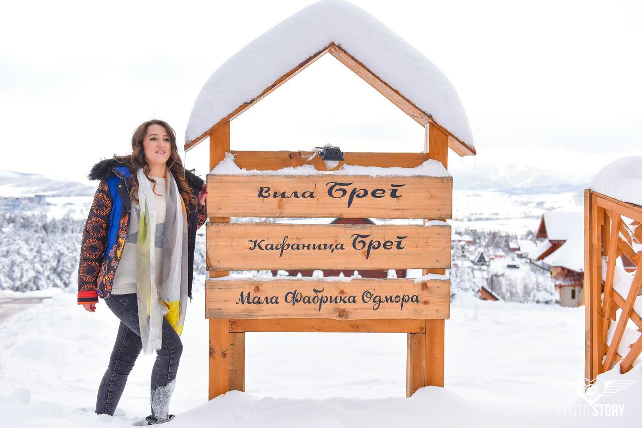 Vila Breg Zlatibor Kültér fotó